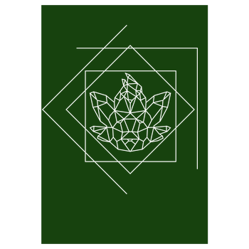Sephiron - Schlingel Lines Kunstdruck grün